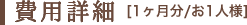 ��p�ڍ�[1������/��1�l�l]